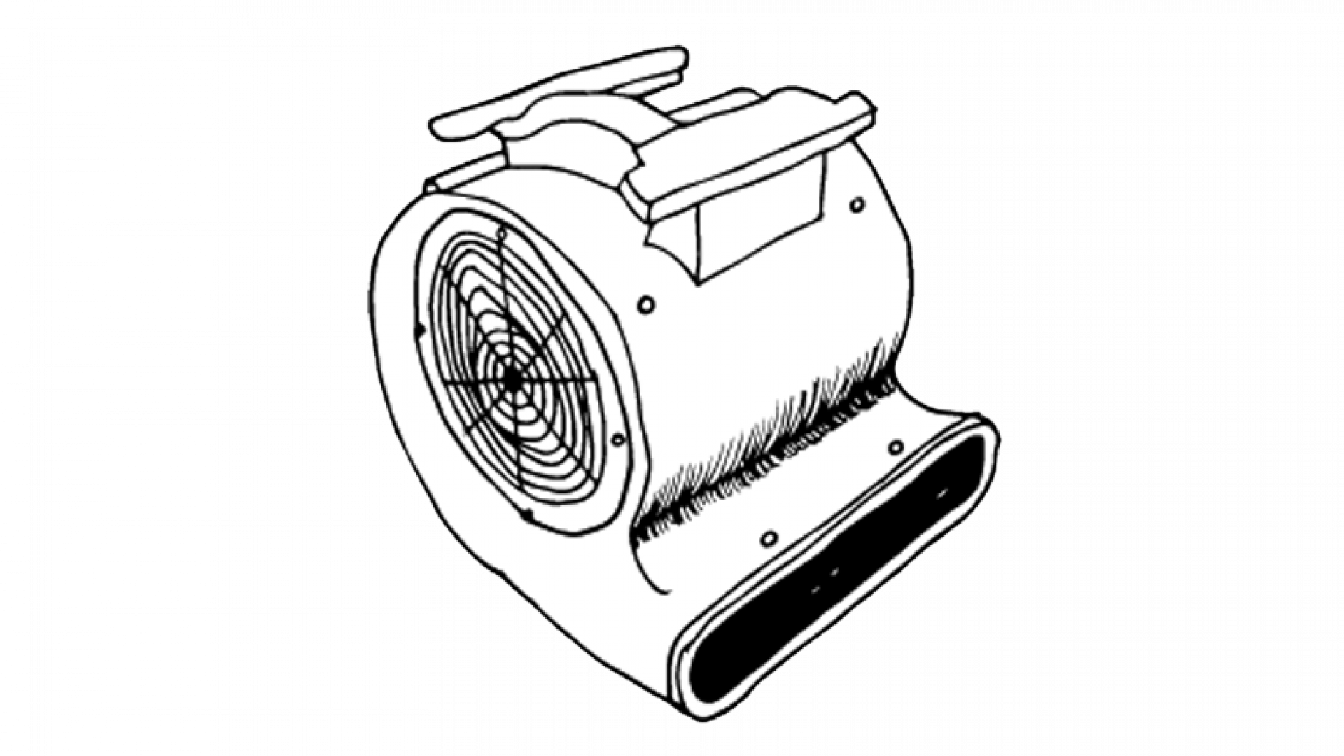 Snail Fan