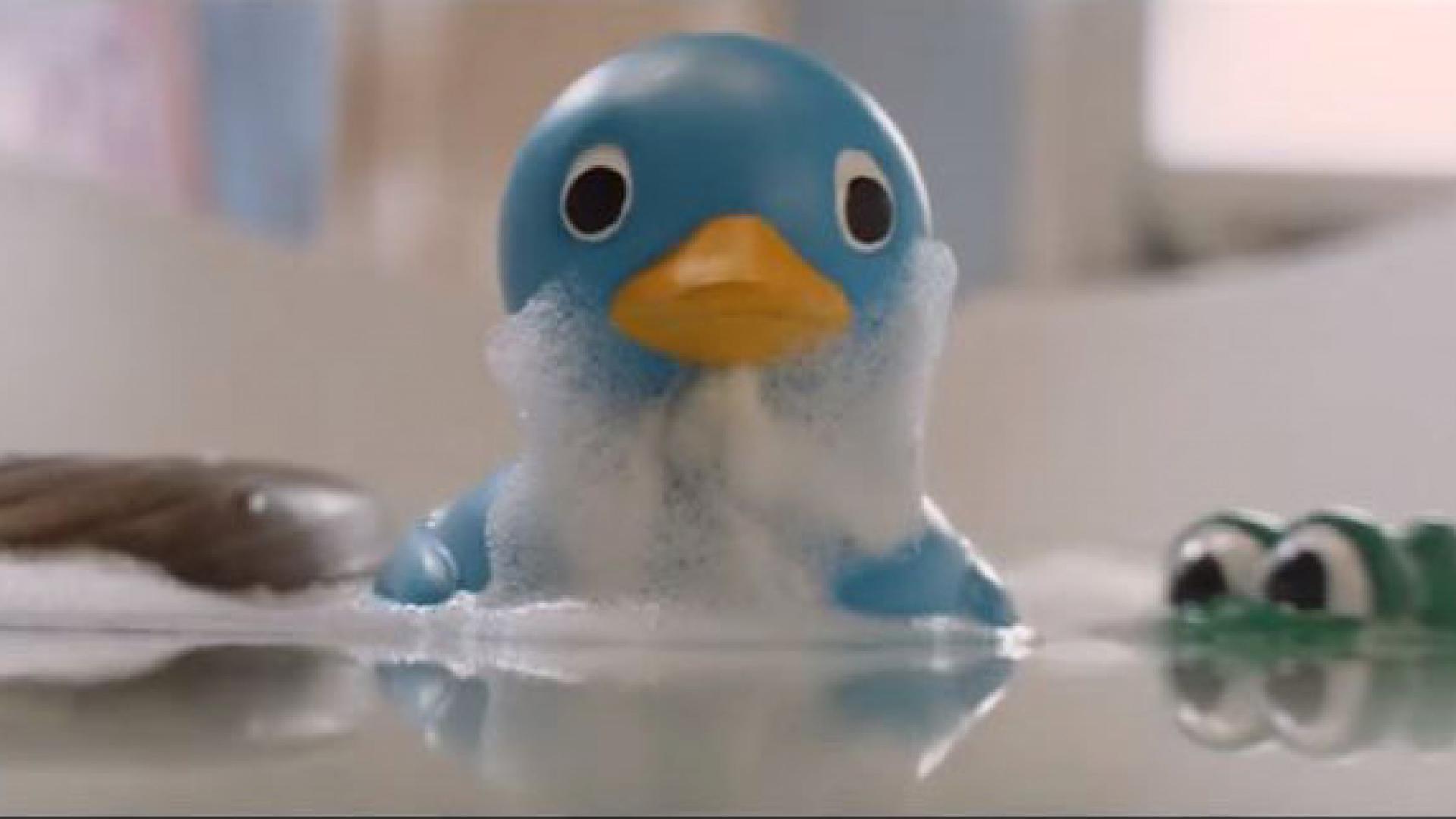 Duck