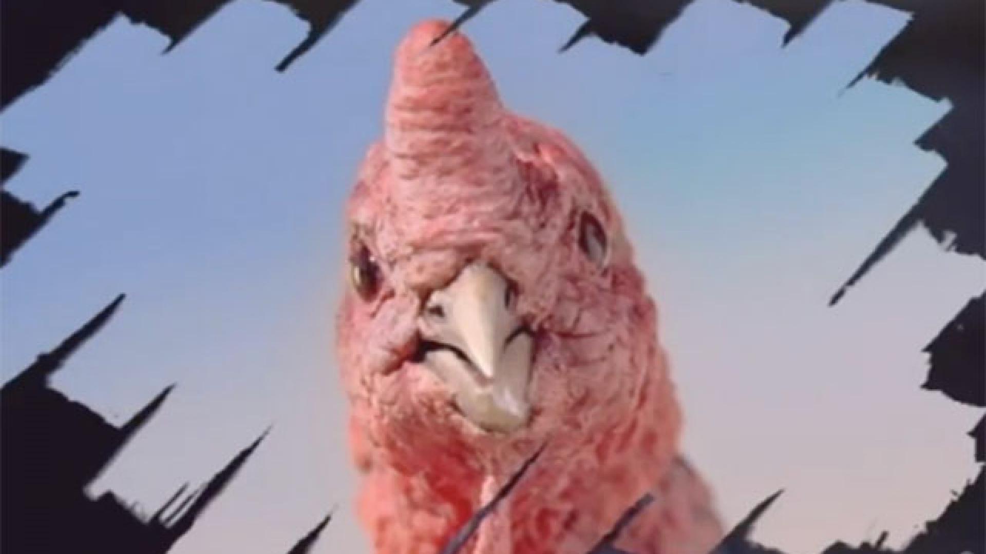 Turkey