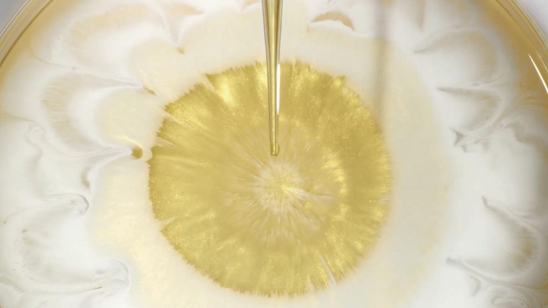 Infinite Radiance, Nurture Hydration, Fortifying Emulsion