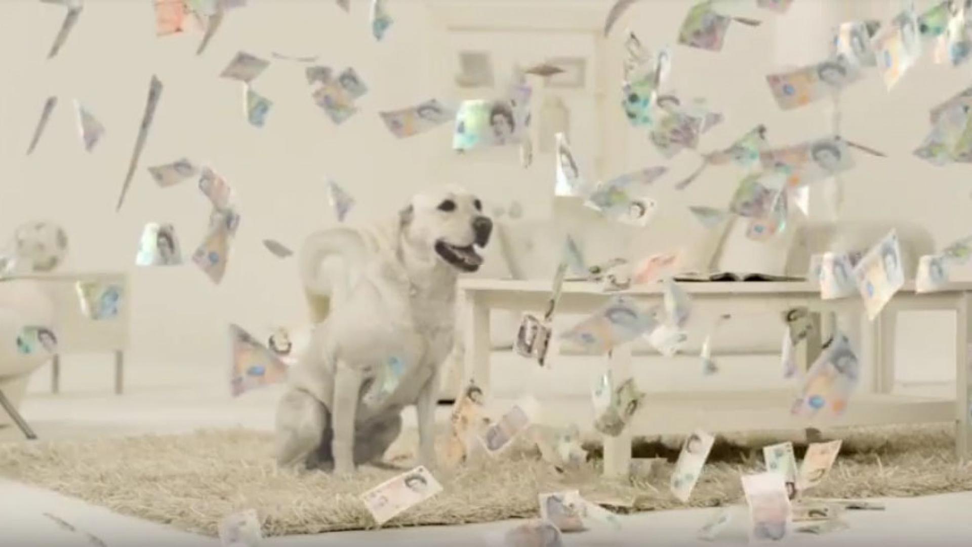 Cashback