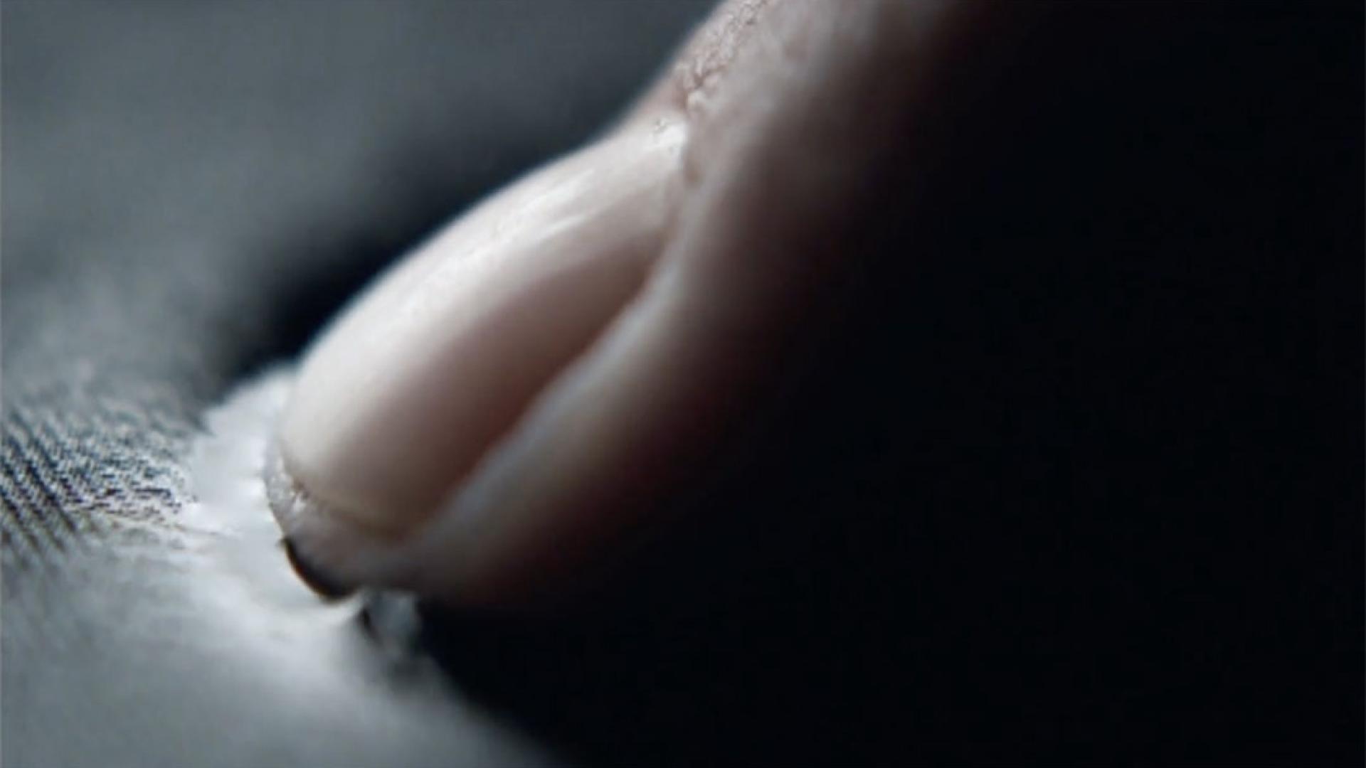 Fingerprint