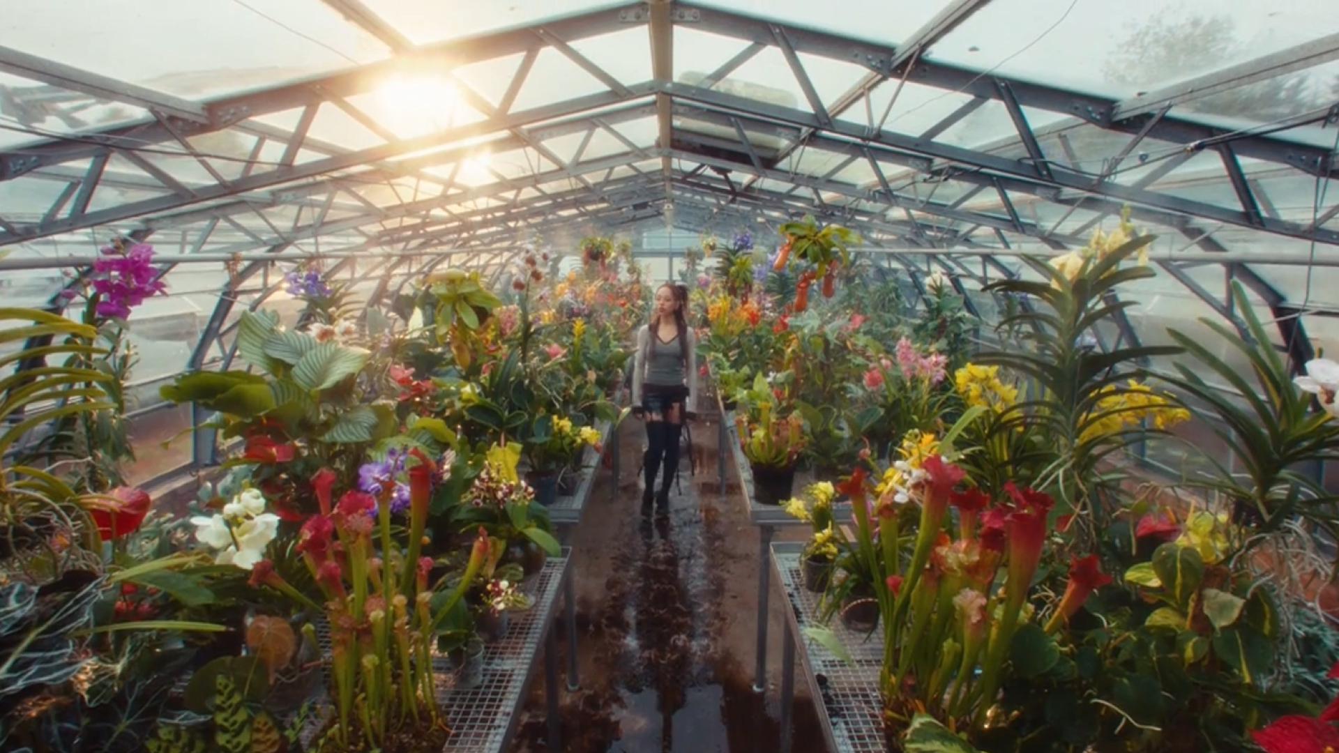 Bouquet Collection