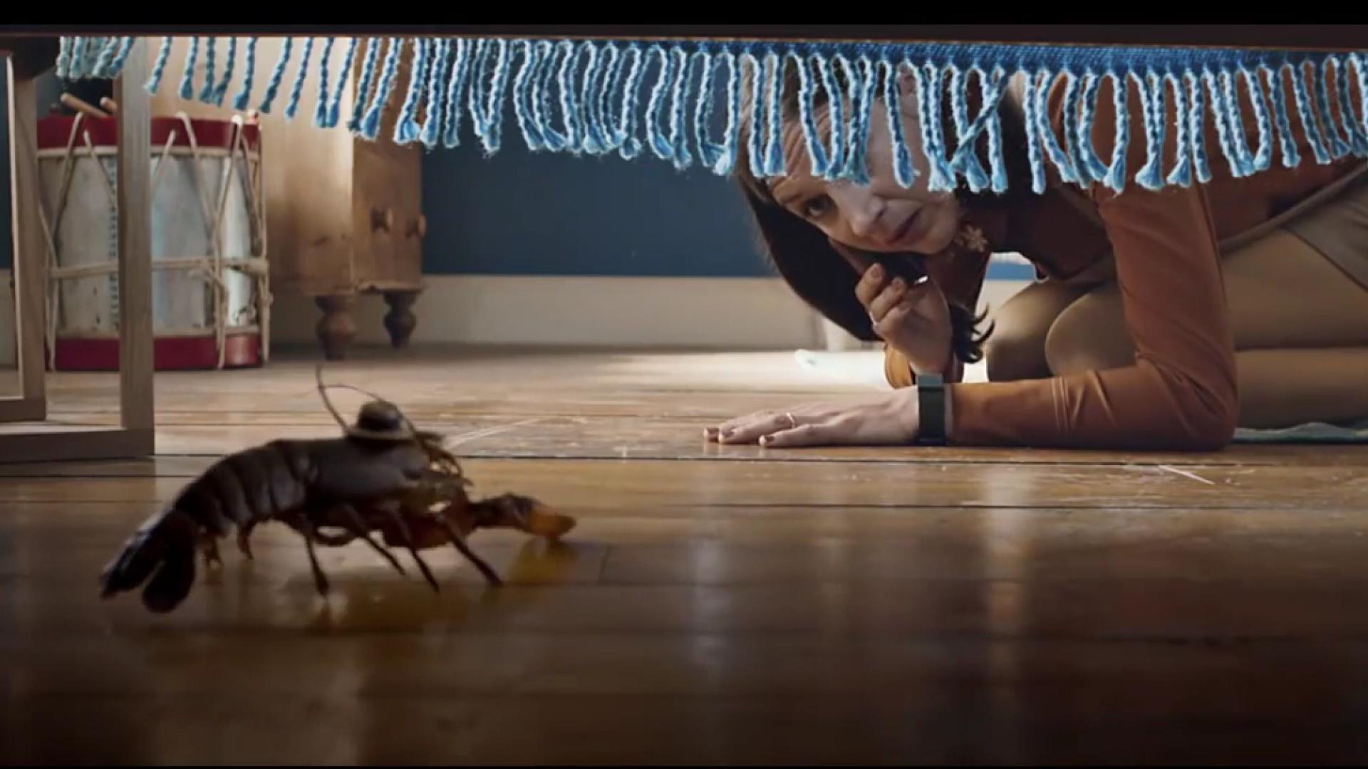 More for you - Lobster
