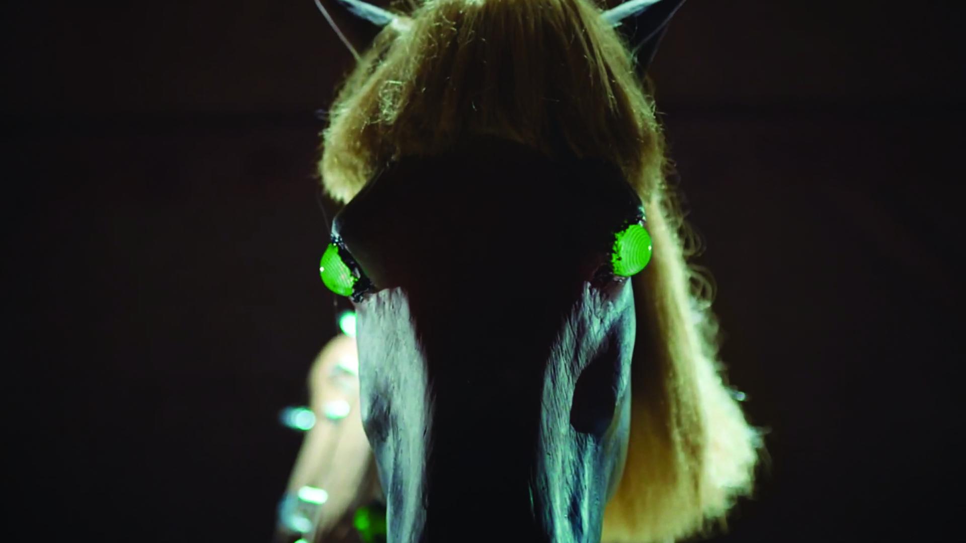 Horse Bot / Commentator Colllar