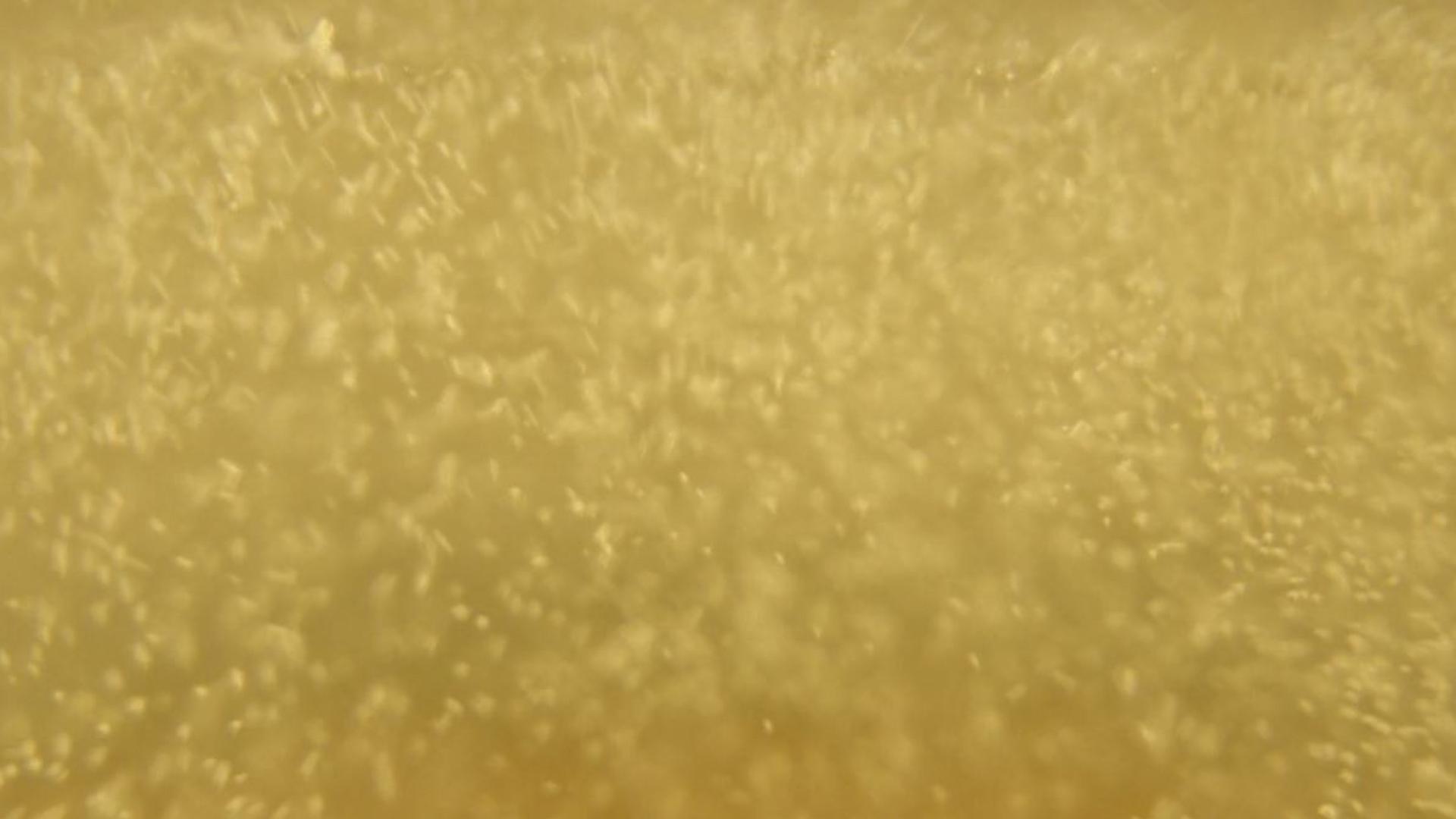 English Sparkling