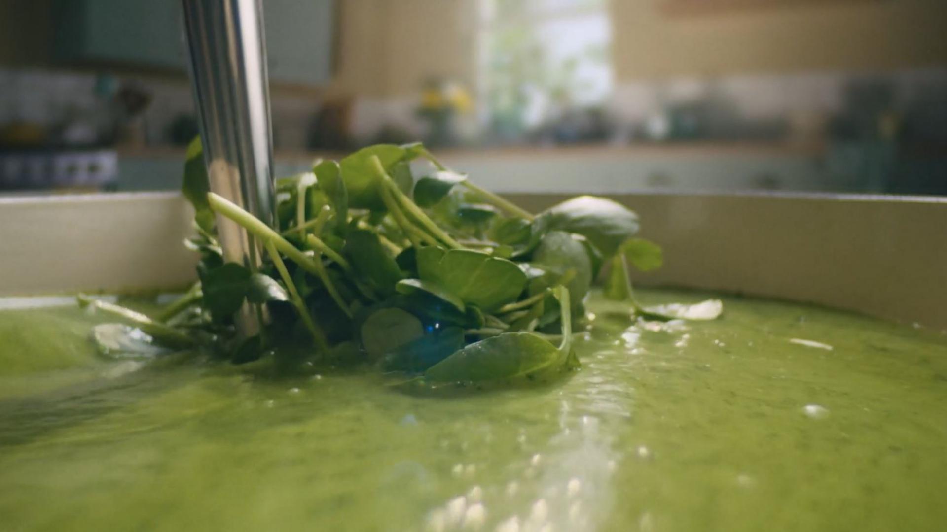 Watercress